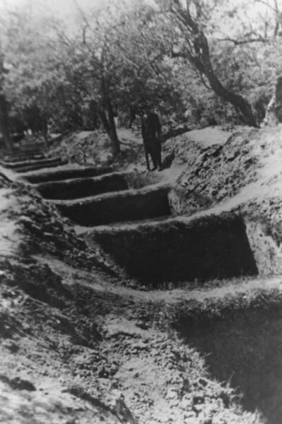 Рови, в яких закопували жертв репресій у Вінниці. Поховання (91 масове заховання) виявлене в травні 1943 року. Фото з архіву ЦДВР