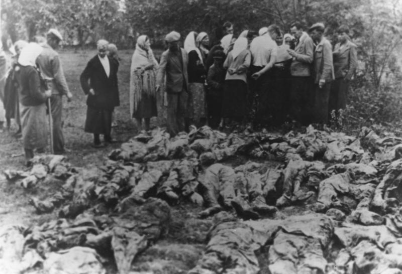Тлінні останки жертв репресій. Жителі Вінниці намагаються розпізнати серед них рідних та близьких, що зникли в роки Великого терору. Фото з архіву ЦДВР